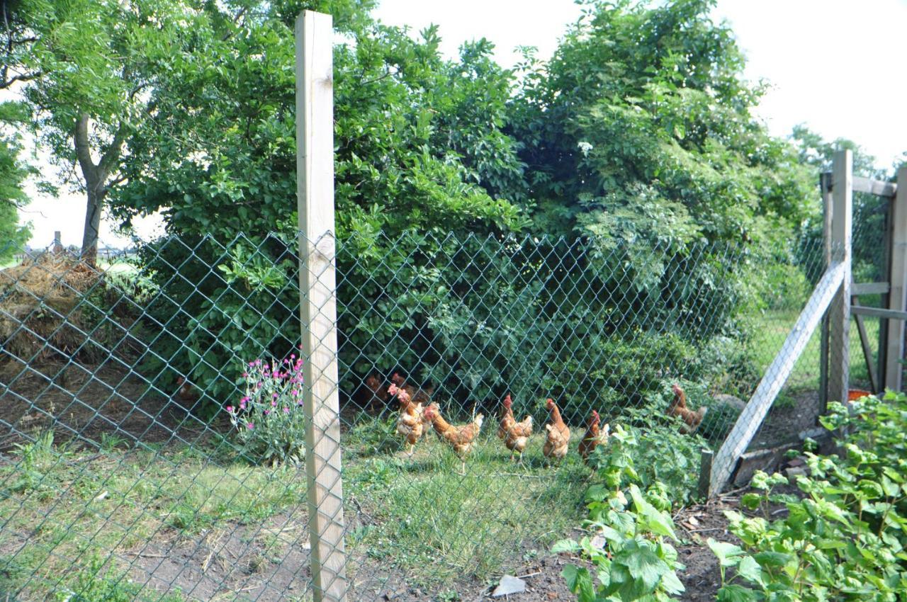 Ferienwohnung Landliebe 65347 Moormerland Exteriör bild