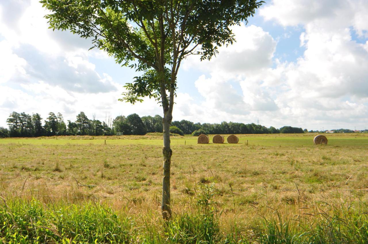 Ferienwohnung Landliebe 65347 Moormerland Exteriör bild